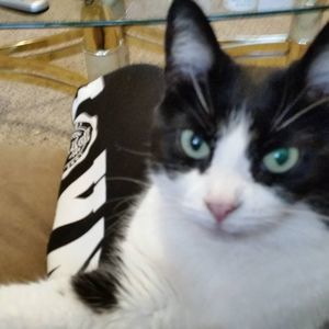 Meet your Posher, Shari